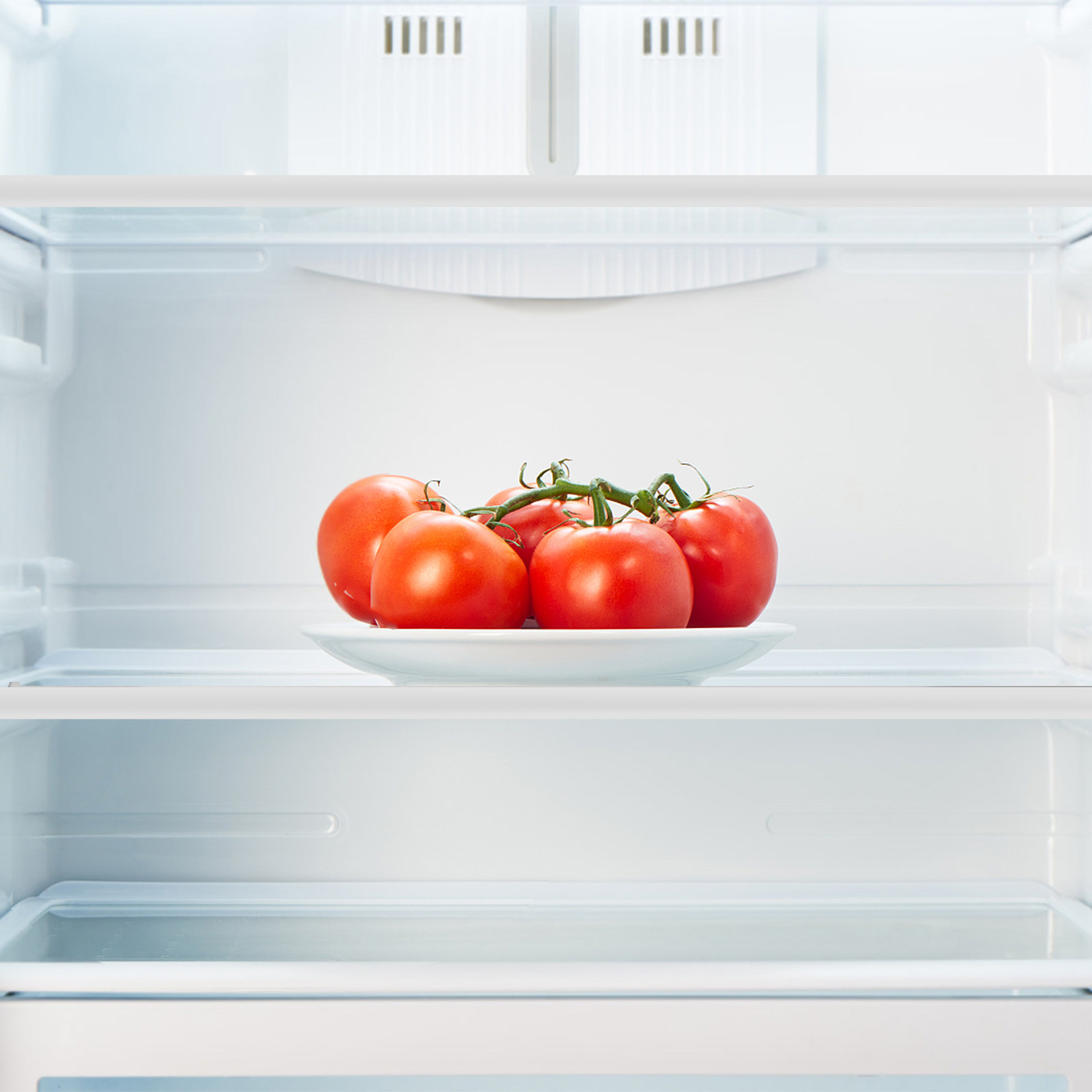 Divisor de Vidro Temperado par - Food Storage Glass avaliação e preço