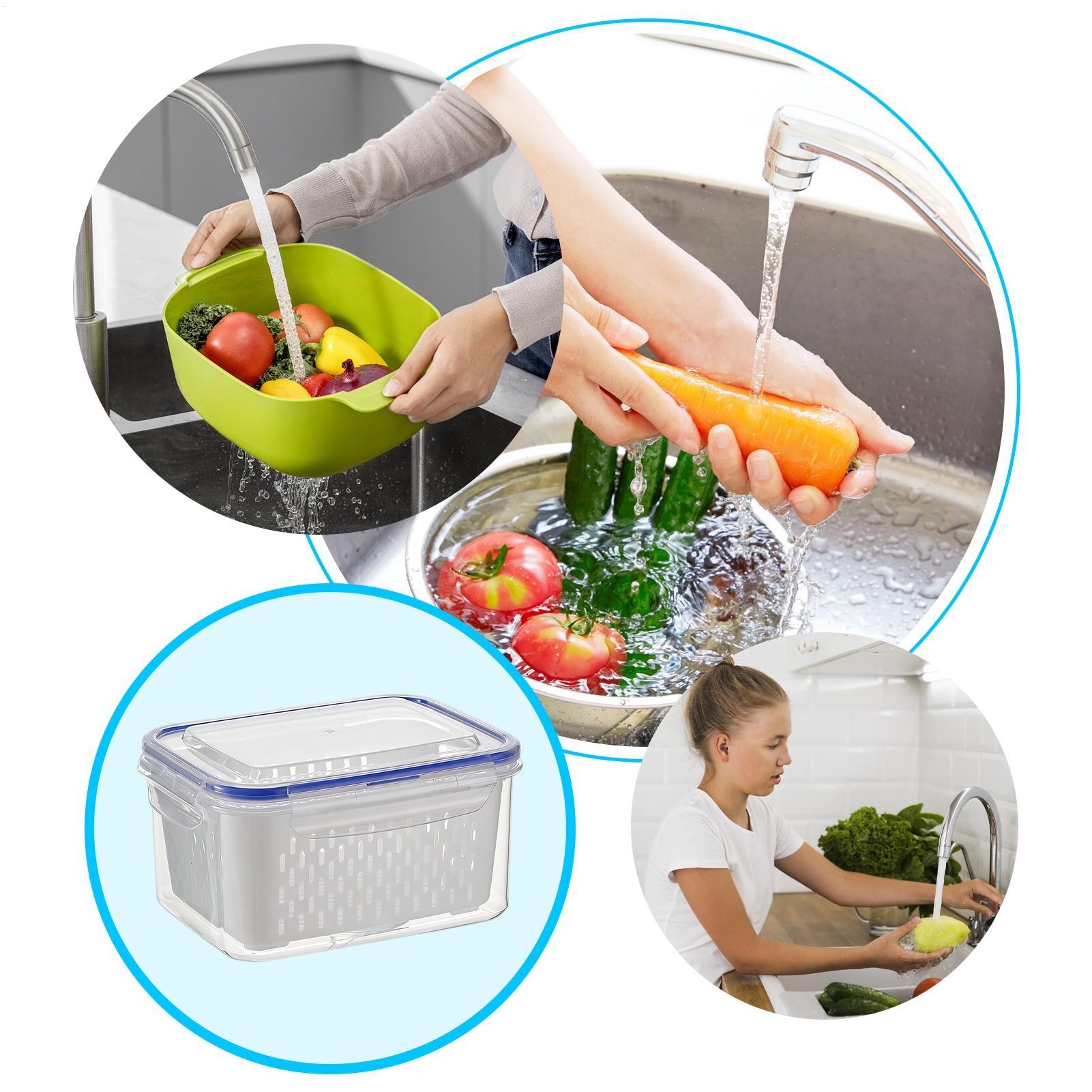 Container de Armazenamento de  - Food Storage Plastic avaliação e preço