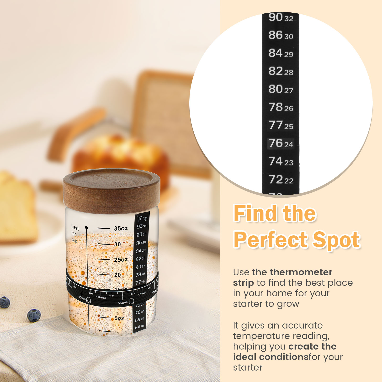 Kit de frasco inicial de massa - Food Storage Glass avaliação e preço